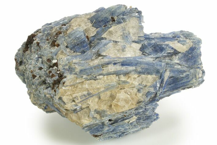 Vibrant Blue Kyanite Crystals and Staurolite In Quartz - Brazil #322562